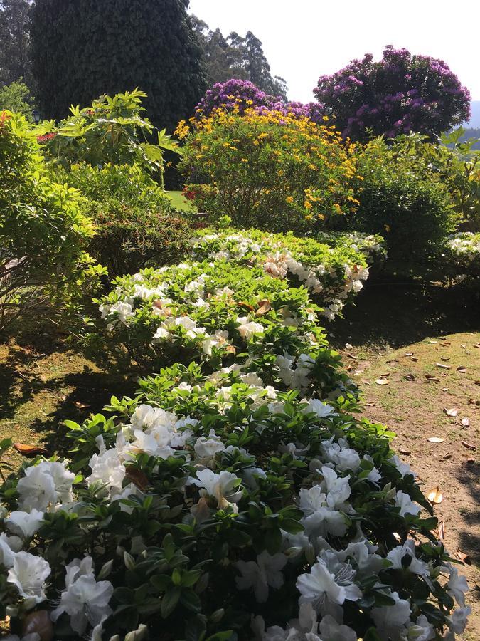 Casa Das Veigas Abegondo Eksteriør bilde